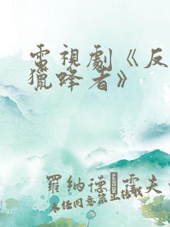 电视剧《反诈·猎蜂者》