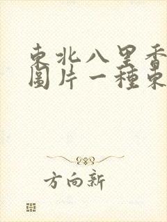 东北八里香蘑菇图片一种东北蘑菇 东北八里香蘑菇图片一种东北蘑菇
