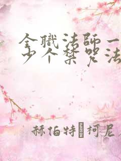 全职法师一共多少个禁咒法师