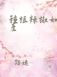 种植辣椒如何高产
