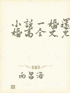小说一婚还比一婚高全文免费阅读晨雾的光