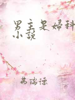 男主是妇科医生小说