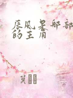 辰风是哪部小说的主角