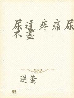 尿道疼痛尿频尿不尽