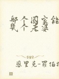 哪个国家能娶好几个老婆