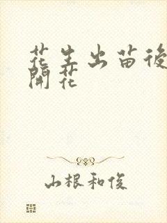 花生出苗后多久开花