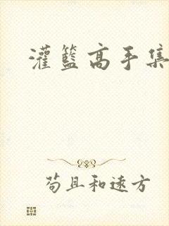 灌篮高手集
