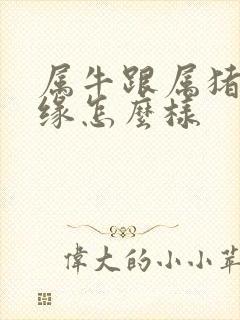 属牛跟属猪的姻缘怎么样