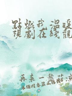点燃我温暖你电视剧在线观看免费高清