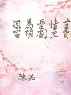 因为爱情有多美电视剧免费观看全集