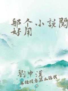 那个小说阅读器好用