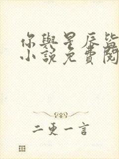 你与星辰皆动人小说免费阅读14