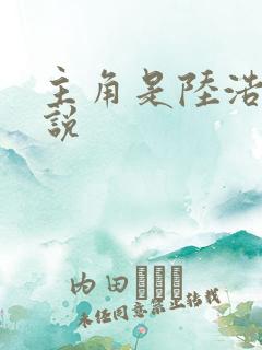 主角是陆浩的小说