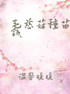 毛慈菇种苗多少钱
