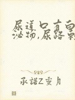 尿道口有白色分泌物,尿路刺痛
