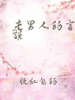 老男人的言情小说