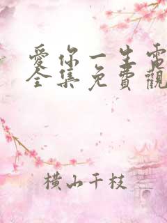 爱你一生电视剧全集免费观看剧情