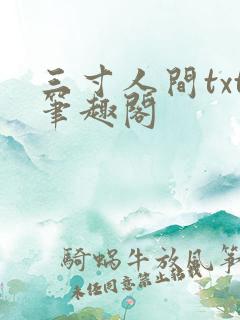 三寸人间txt笔趣阁