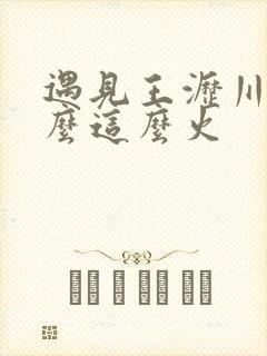 遇见王沥川为什么这么火
