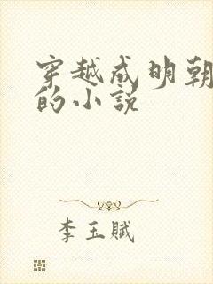 穿越成明朝皇帝的小说