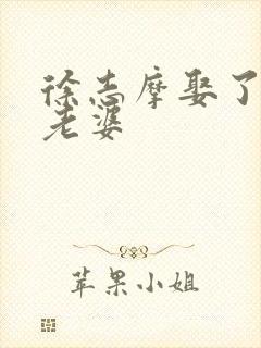 徐志摩娶了几个老婆