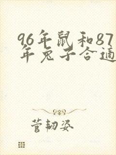 96年鼠和87年兔子合适吗