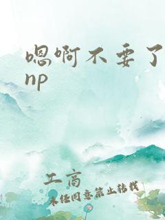 嗯啊不要了高hnp