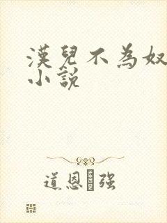 汉儿不为奴有声小说