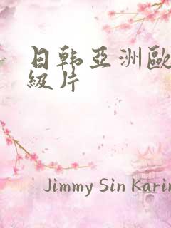 日韩亚洲欧美一级片