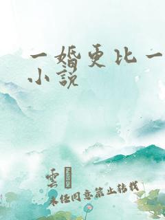 一婚更比一婚高小说