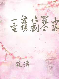 一舞作罢山河寂电视剧全集