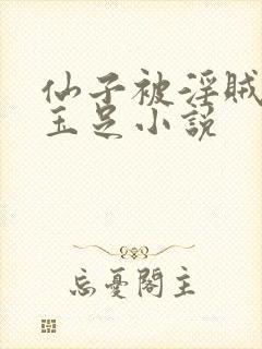 仙子被淫贼玩弄玉足小说