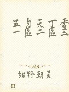 五月天丁香婷婷一区二区三区
