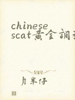 chinesescat黄金调教vk