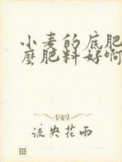 小麦的底肥用什么肥料好啊