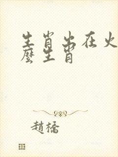 生肖出在火指什么生肖