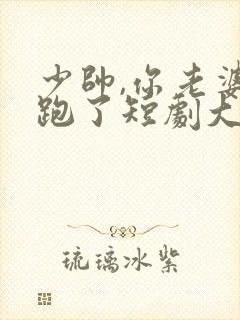 少帅,你老婆又跑了短剧大结局