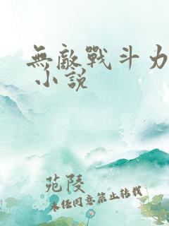 无敌战斗力系统 小说