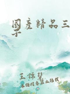 国产精品三级片子