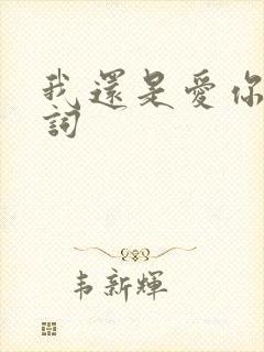 我还是爱你的歌词