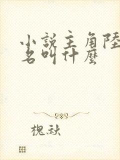 小说主角陆明书名叫什么