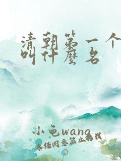 清朝第一个皇上叫什么名