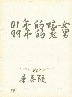 01年的蛇女和99年的兔男的婚姻