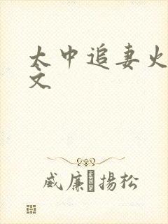 太中追妻火葬场文 太中追妻火葬场文