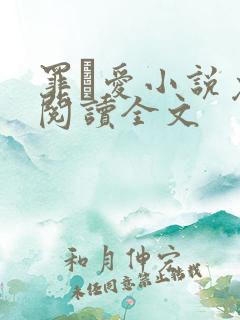 罪·爱小说免费阅读全文