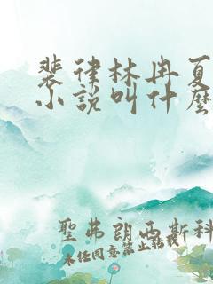 裴律林冉夏以云小说叫什么名字