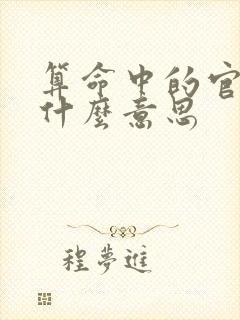 算命中的官运是什么意思