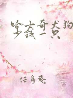 哈士奇犬狗狗多少钱一只