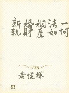 新婚姻法一方出轨财产如何分割