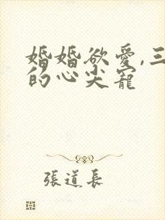 婚婚欲爱,三爷的心尖宠